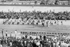 ���� ������ ��� ��� ����